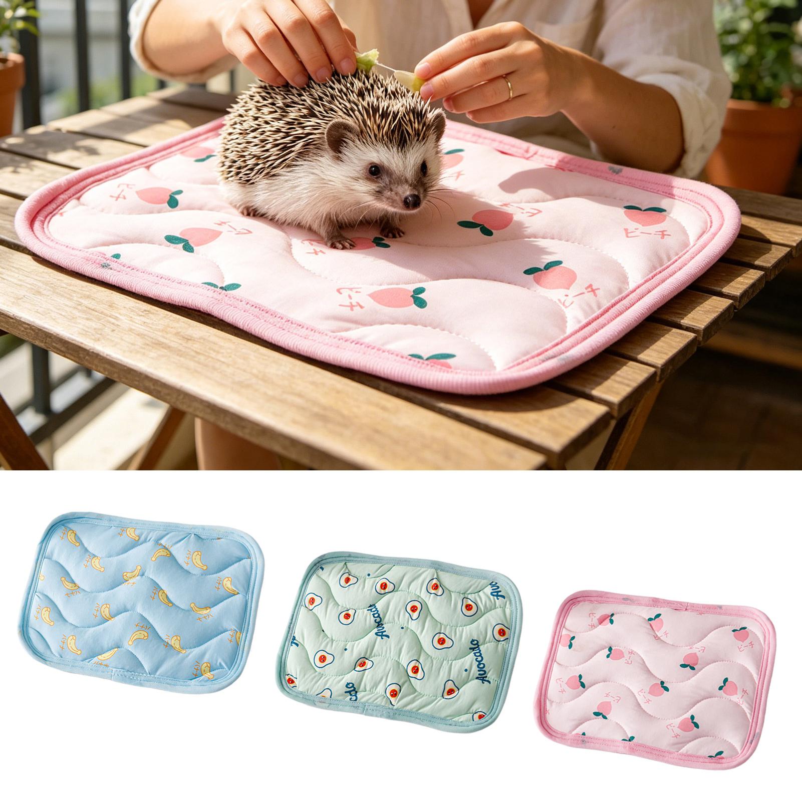 Outdoor Camping Dog Bed - Yıkanabilir Evcil Hayvan Soğutma Minderi Küçük