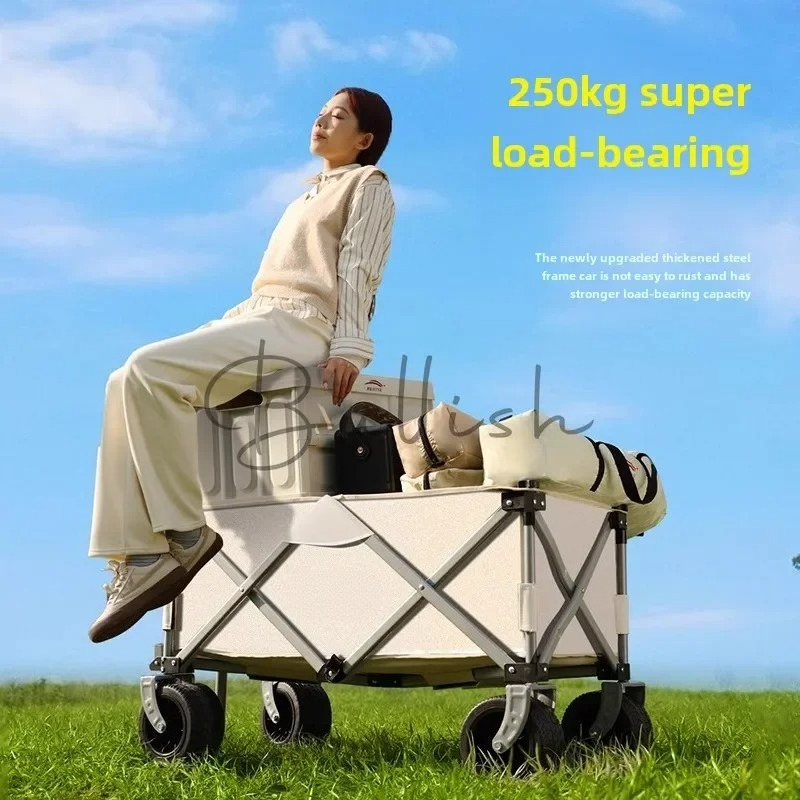 Kamp arabası Açık hava katlanı - Outdoor Camping Trolley incelemesi ve fiyatı