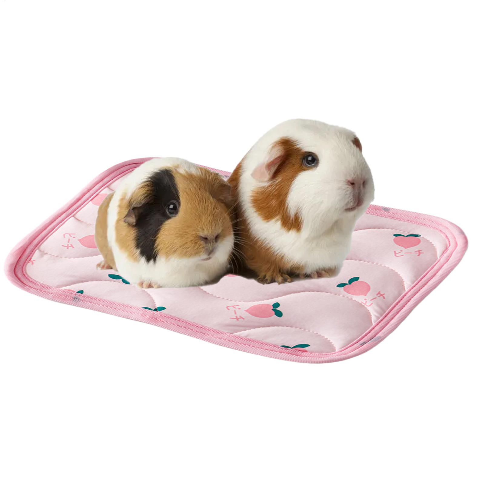 Yıkanabilir Evcil Hayvan Soğut - Outdoor Camping Dog Bed incelemesi ve fiyatı