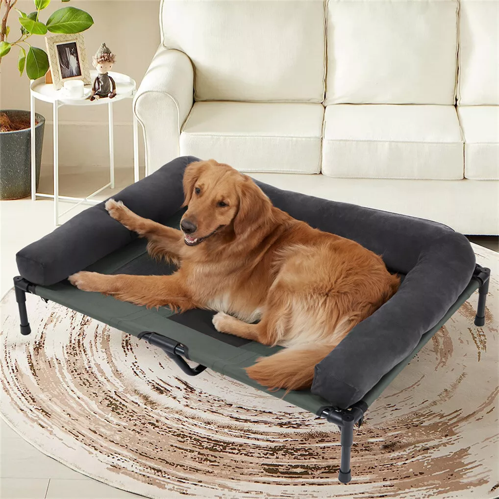 BINGOPAW Açık Hava Köpek Yatağ - Bed Outdoor Camping incelemesi ve fiyatı