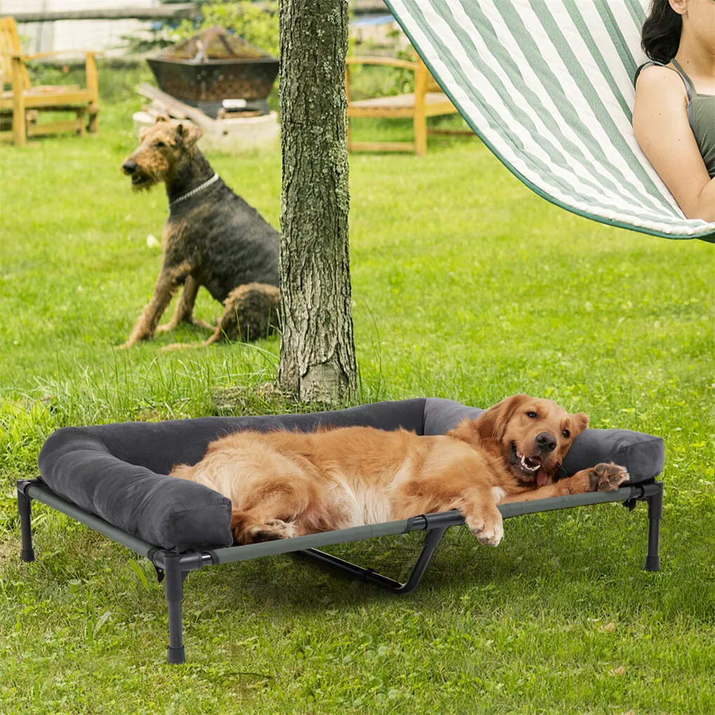 BINGOPAW Açık Hava Köpek Yatağ - Bed Outdoor Camping incelemesi ve fiyatı