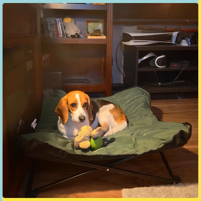 Taşınabilir Katlanabilir Evcil - Outdoor Camping Dog Bed incelemesi ve fiyatı
