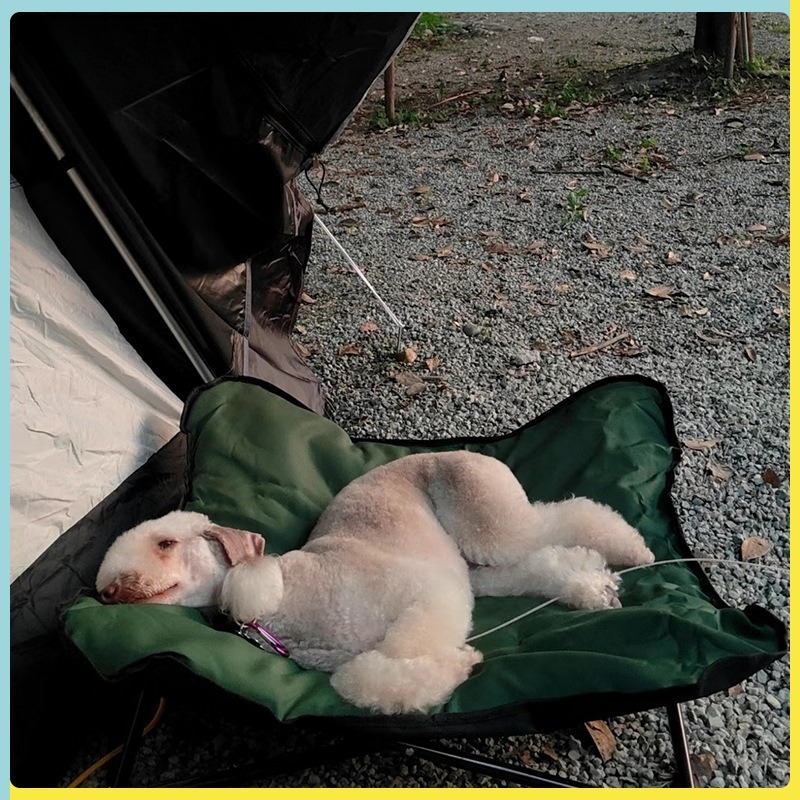 Taşınabilir Katlanabilir Evcil - Outdoor Camping Dog Bed incelemesi ve fiyatı